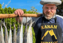 Kanan Badalov Net Worth