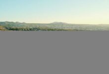 check relief grant status