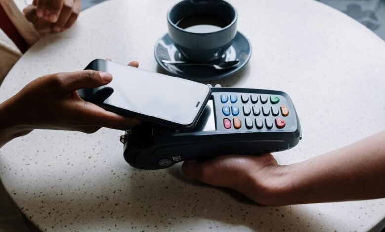 check sassa payment status