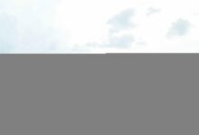 kai cenat s net worth exploration