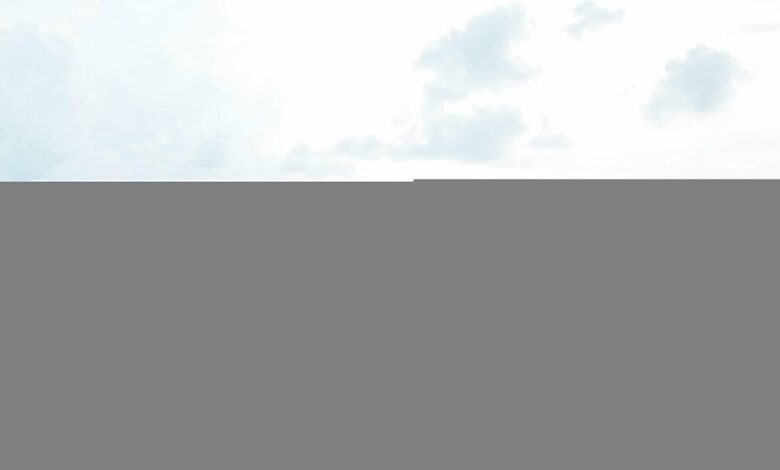 kai cenat s net worth exploration