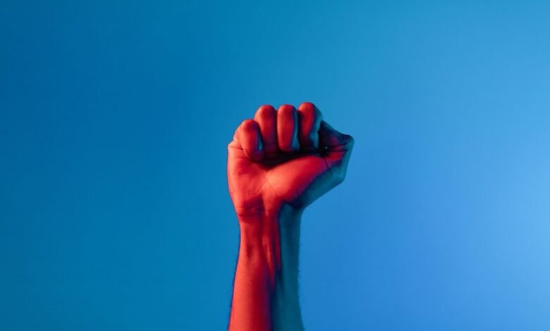 identity fraud compliance task force